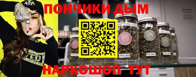 спайс Кингисепп
