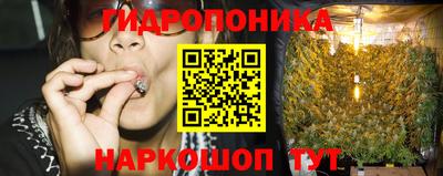 спайс Кингисепп