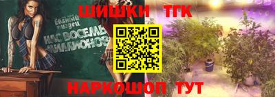 спайс Кингисепп