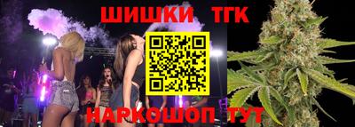 спайс Кингисепп