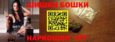 спайс Кингисепп