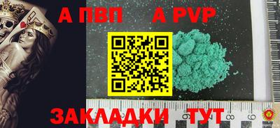 спайс Кингисепп
