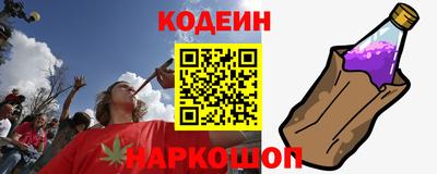 спайс Кингисепп