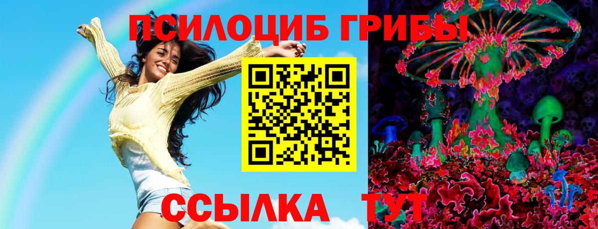 Псилоцибиновые грибы Psilocybine cubensis  Вход с VPN  Псилоцибиновые грибы Psilocybe  Кирово-Чепецк 