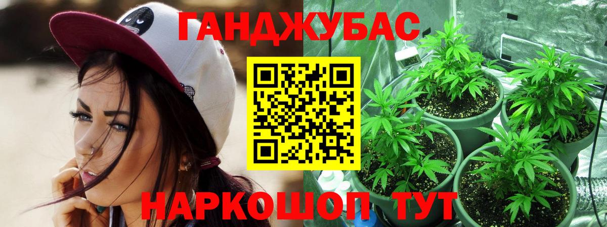 Кирово-Чепецк  Марихуана план  МАРИХУАНА Amnesia  Вход с VPN  Конопля MAZAR  Марихуана OG Kush 